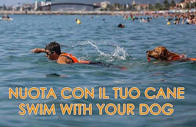 Swim with your dog - Nuota con il tuo cane