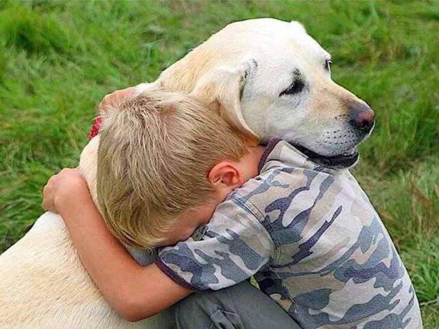 Epatite nei bimbi trasmessa dai cani? Aidaa: una balla colossale